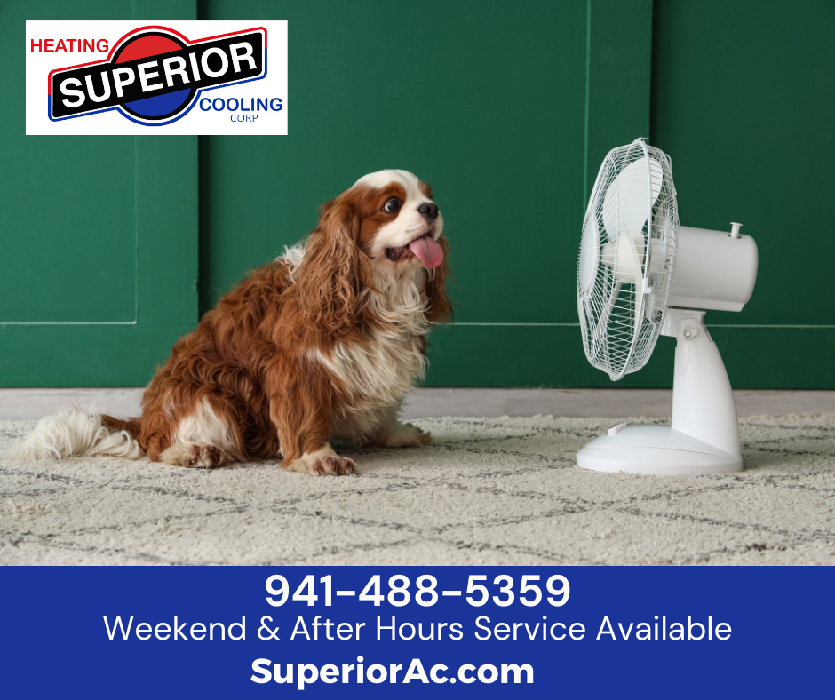 Stay comfortable year-round with reliable A/C and HVAC services image